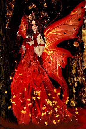 Mandragora - ©2006-2008 by Sabrine - All rights reserved.